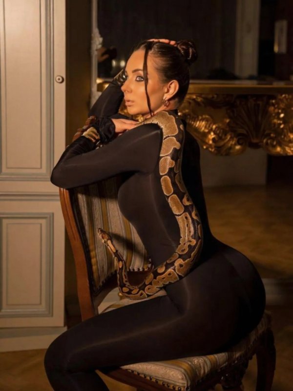 thumb_1761587_1920_1920_0_0_fit (1).jpg