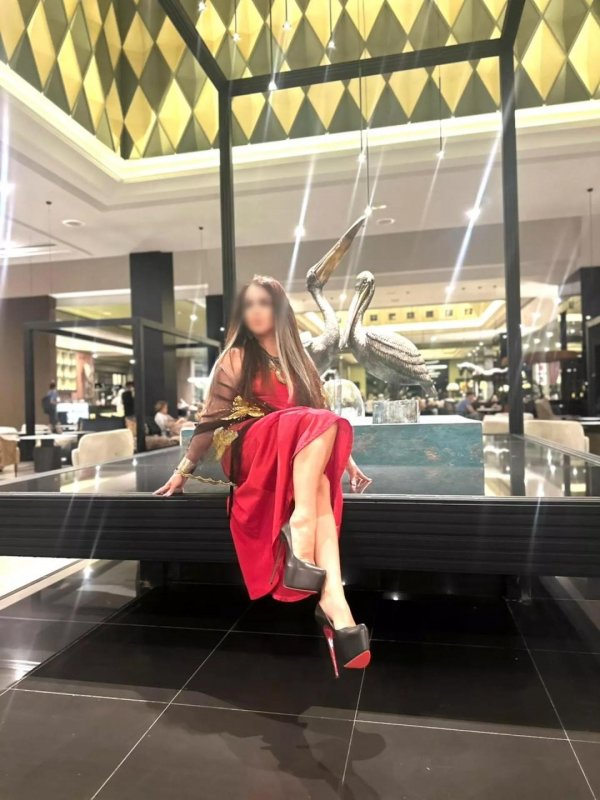 thumb_1605682_1920_1920_0_0_fit (1).jpg